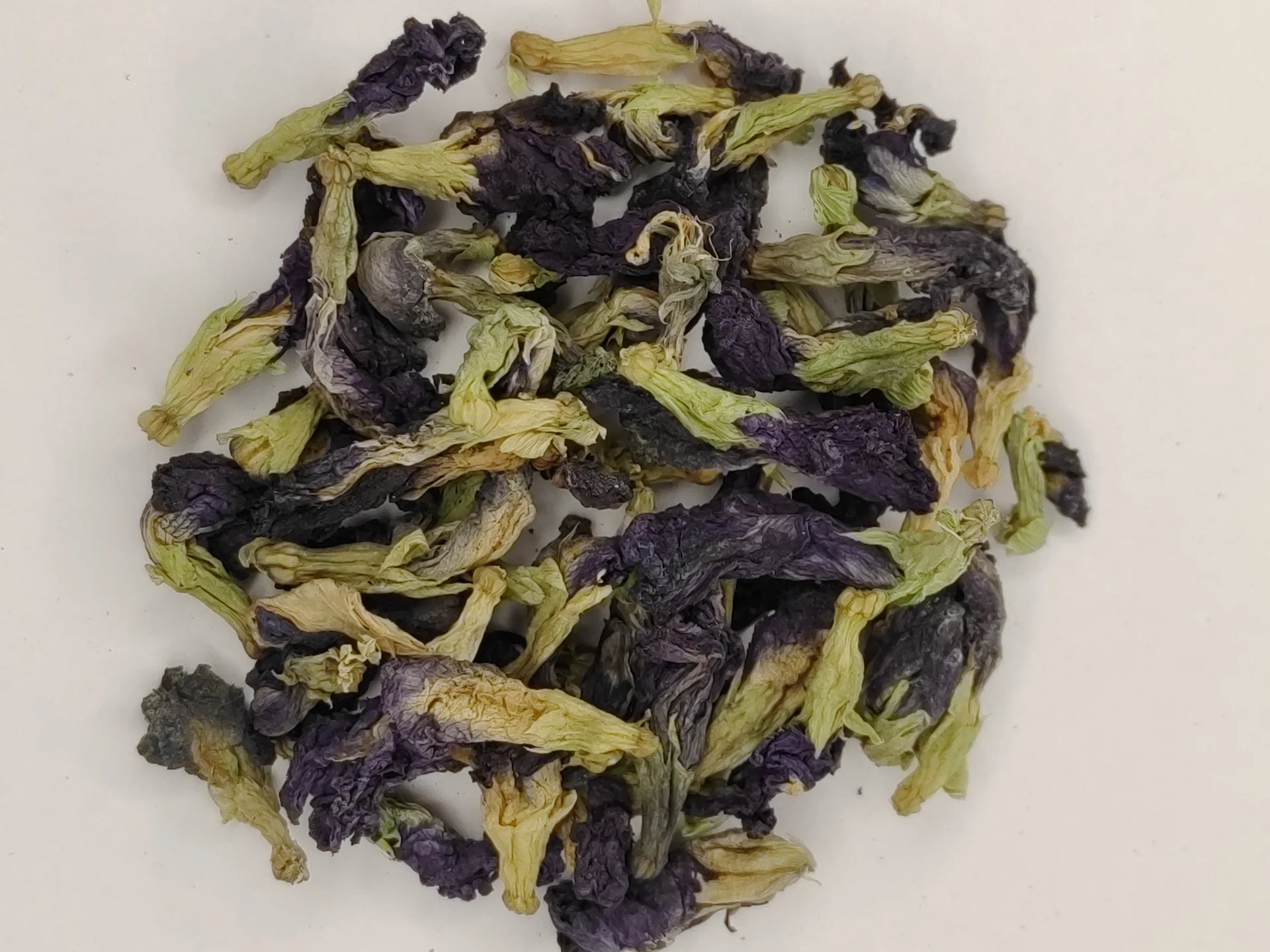 Moringa Tea